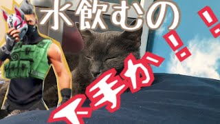猫だけでもyoutuberなれんじゃね説！！［日常チャンネル］