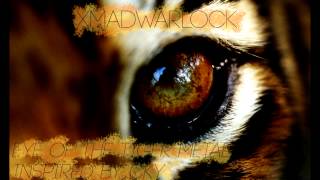 Eye of the tiger Metal Cover inspired by CKY (Drop B Tuning)