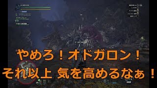 ラドバルギン可哀想…（MHW）
