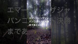 エマージェンザジャパン優勝をかちとれ🏆