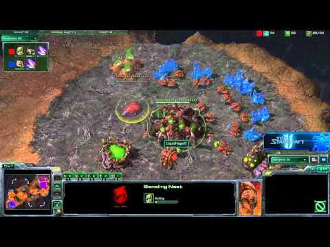 [Liquid Zerg] Haypro(Z) vs JunviPrime(Z) part 1/1