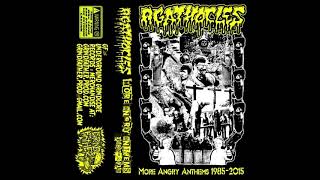 Agathocles - More Angry Anthems 1985-2015 (2015)