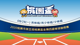 [情報] 第五屆桃園盃全國四級棒球錦標賽冠軍戰