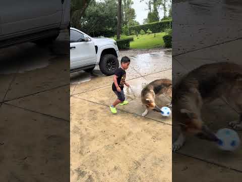 Dad catches dog playing soccer with son then this happens #shorts