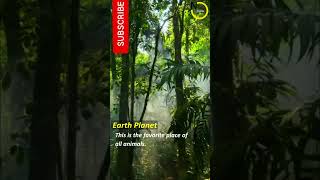 Lets Save our Mother Earth