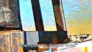 ethanopium  bydengue fever