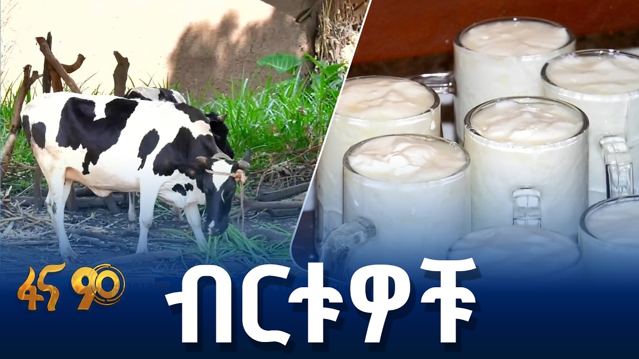 በወተት ምርት ኑሯቸውን ያሻሻሉት