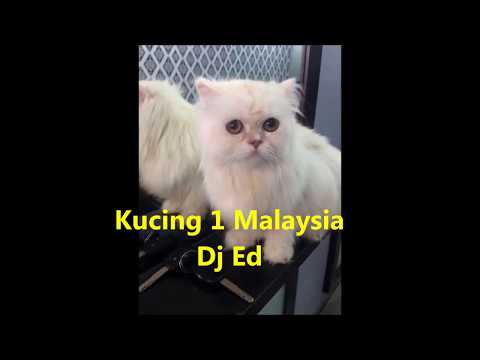 DJ Ed ~ Lagu Kucing 1 Malaysia