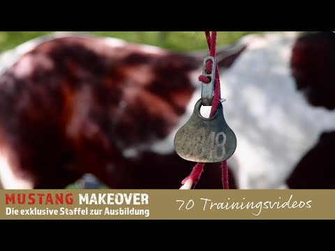 MUSTANG MAKEOVER 2022 - Lerne von 15 internationalen Trainern und wilden Mustangs