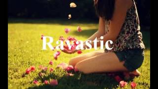 Stan SB - Flat Foot Face