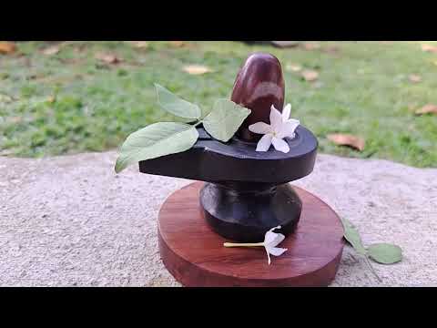 Lord Shiva Lingam with Black Jaldhari in Narmada Stone video