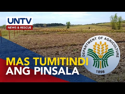 Danyos ng El Niño sa sektor ng agrikultura, pumalo na sa P5.9 billion – DA