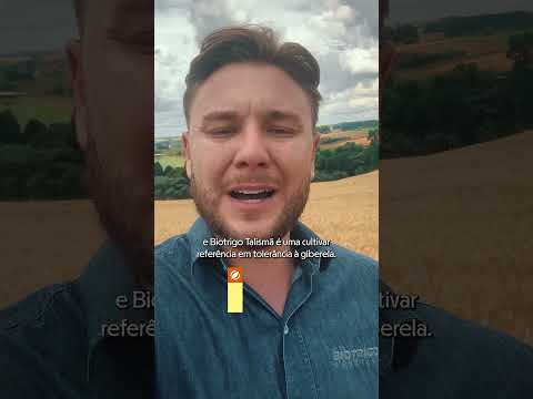 Biotrigo na Estrada | Biotrigo Talismã | Renascença/PR