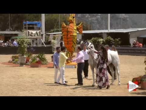 Most Beautiful Head Award - Class 10 - N. 137