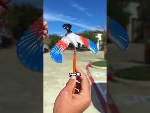 What CANT the Balancing Bird Balance On?