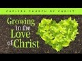 Jason Moore Peace And Sanctification Essentials Of A Growth Culture At Chelsea Church
