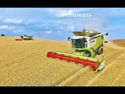 Harvest 2017 Bohaté Málkovice South Moravia  Lexion 770, 770, 760, 580