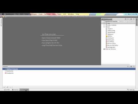 Customizing the IDE Layout - WebStorm Video Tutorial