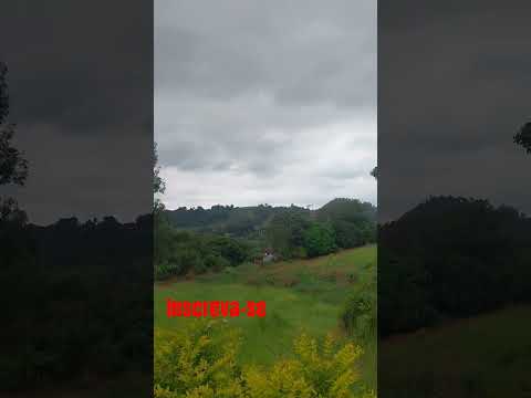 roça corumbatai do sul Paraná #roça