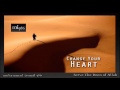 ENG Shaykh Saleem Dhorat Changing Your Heart