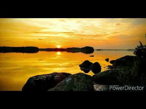 !!!       Wild Fire Forest Nature Sounds      !!!