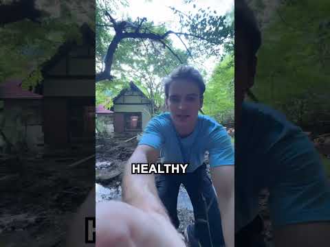 Why your Japanese Onsen is Expensive