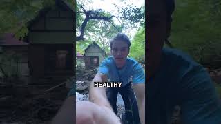 Download lagu Why your Japanese Onsen is Expensive mp3 Download lagu Why your Japanese Onsen is Expensive mp3