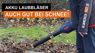 Laubbläser im Test: Vier Modelle im Vergleich!