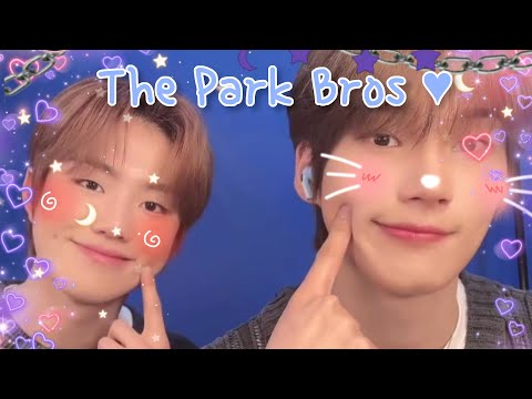 The Sibling Energy Between Hanbin & Jihoo