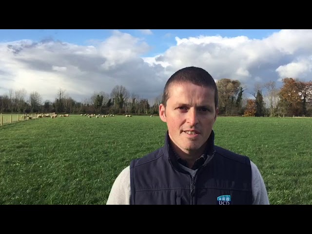 Animal Science - DN250