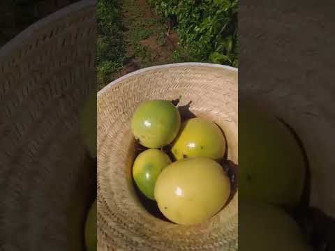 1 de fevereiro de 2022