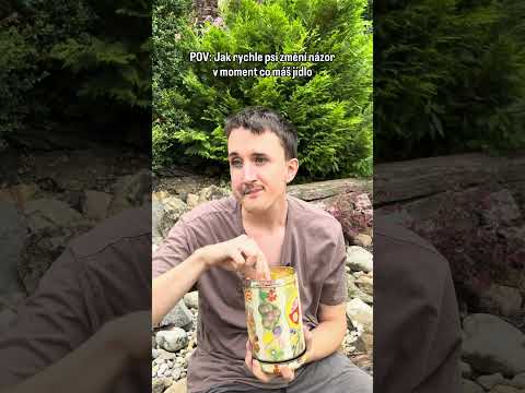 I pes zradí kvůli jídlu🤣 #humor #fyp