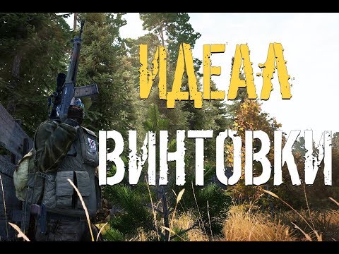 Sig550 | Stalker online