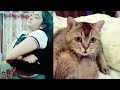 Tik Tok Anitha Funny Dubsmash Video