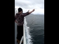 Seagull Eats A French Fry Chip By Hand