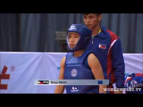 Wushu Sanda World Cup - promo