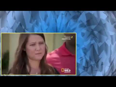 Cesar 911 S02E07 Raging Pit Bull