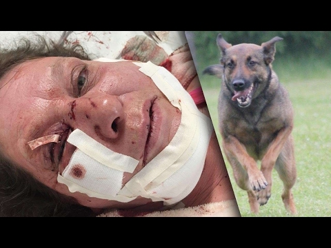 Polizeihunde ausgebildet zum TÖTEN!  Doku  HD