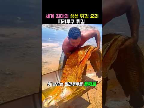 세계 최대의 생선 튀김, 브라질의 피라루쿠 요리