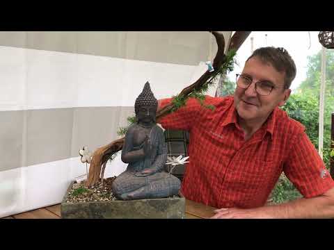 2022 Tanuki Experiment Lärche und mein Experiment Youtube