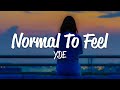 YDE Normal To Feel Lyrics