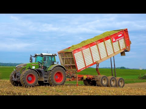 Mais 2021 : Fendt 942 & Annaburger Fieldliner / LU Hundshagen / Maishäckseln / Jaguar 970 / Agrar 4K