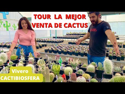 , title : 'TOUR por la mejor VENTA DE CACTUS/ vivero CactiBiosfera'
