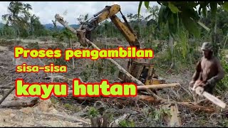 Download lagu Kayu hutan di malaysia||kayu balak mp3 Download lagu Kayu hutan di malaysia||kayu balak mp3