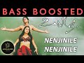 Nenjinile Nenjinile Bass Boosted Uyire NS EQUALIZER