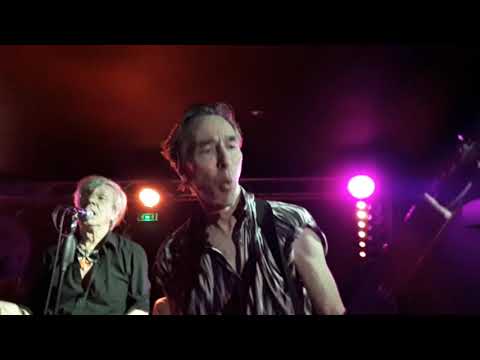 the fleshtones live