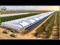 How Israel Turned Negev Desert Into Massive High Tech Farms Feeding Millions DEFAULT Thumbnail