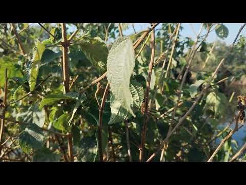 The Most Important Date in Human History