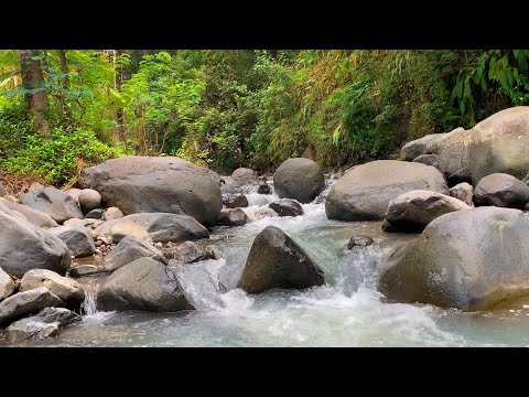 8 HOURS 🎧 Audio Therapy River | Healing Water Sounds | Therapeutic Calming Soundscape