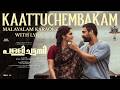 Kaattuchembakam Malayalam Karaoke With Lyrics Video Tovino Kayadu Sree Karaoke